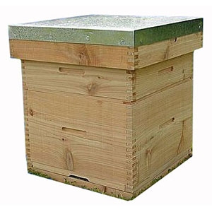 Hive Wooden Box